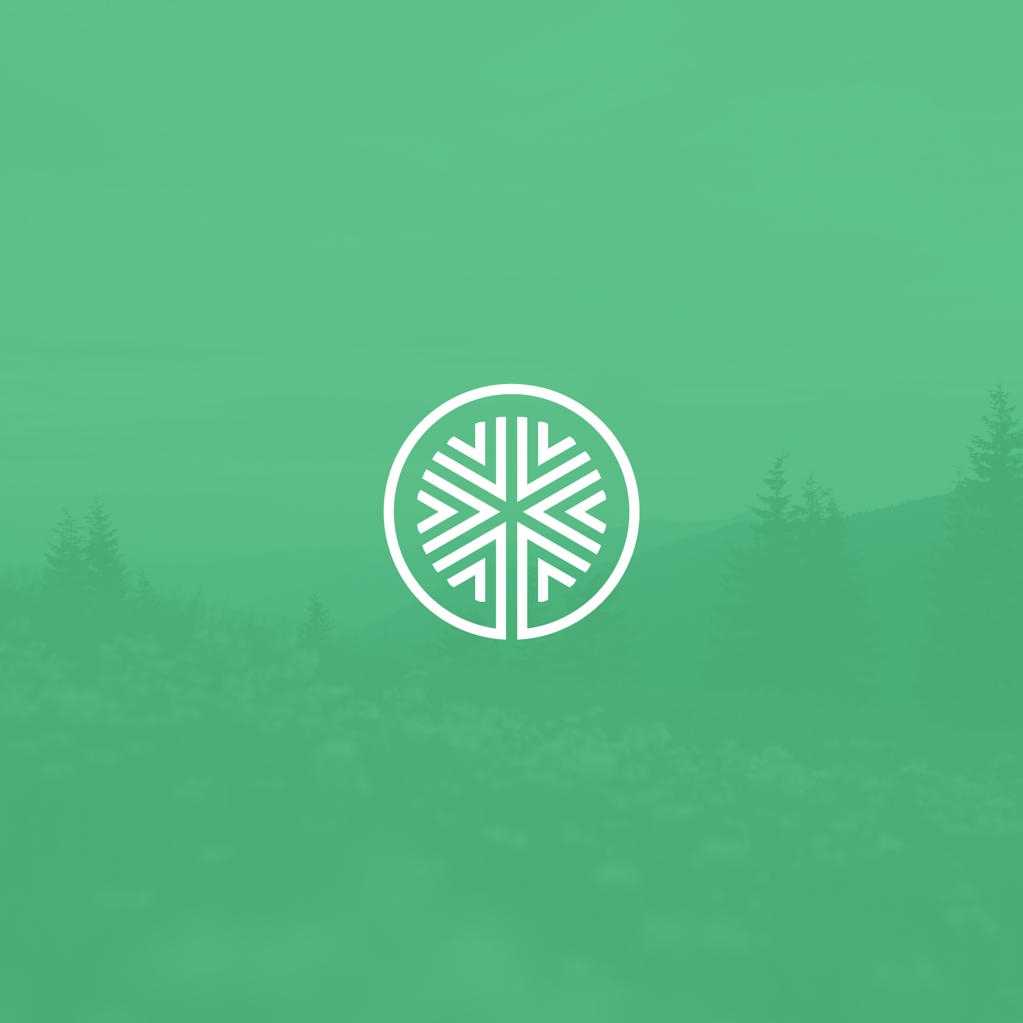 Revive circular logo mark in white over a green-tinted forest landscape