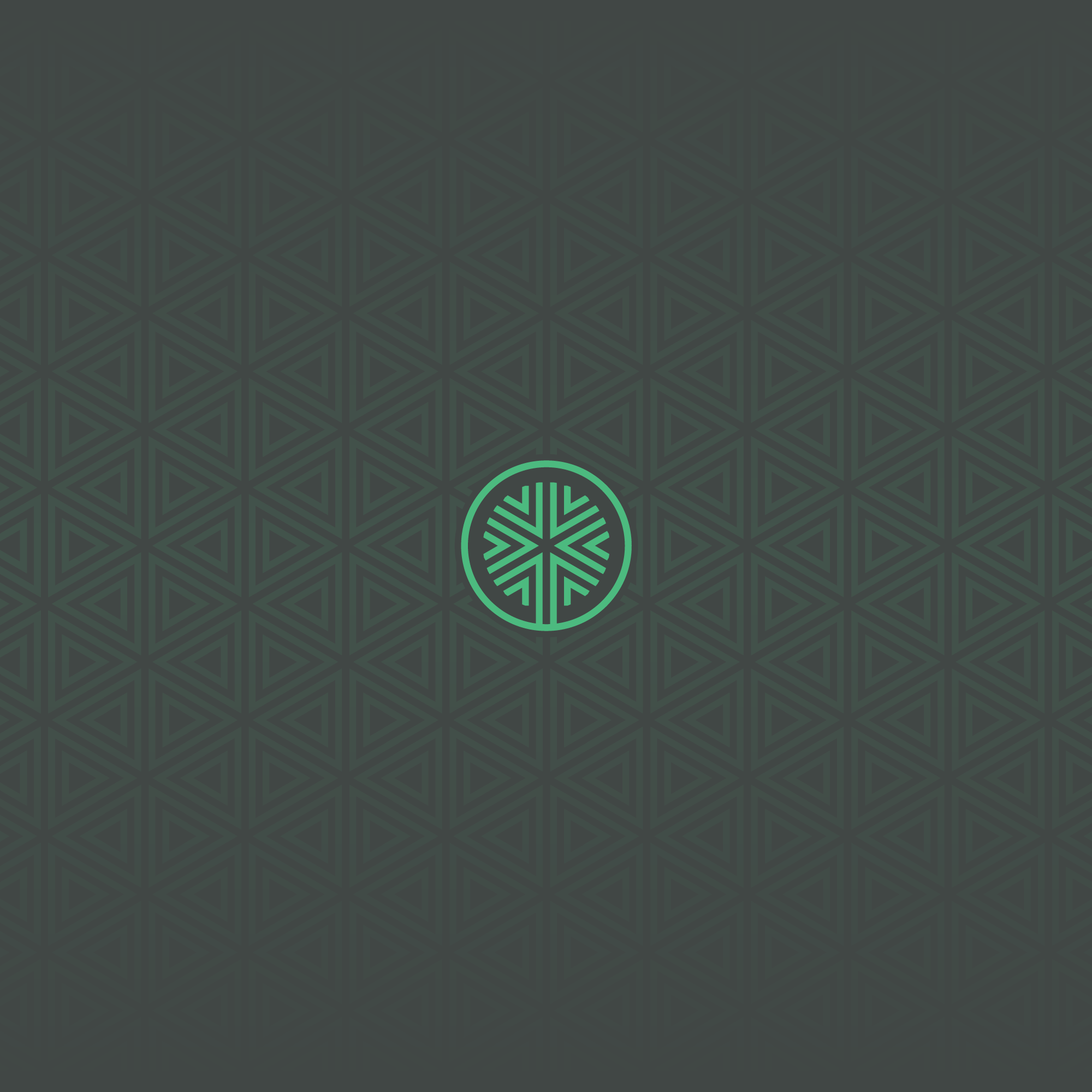 Revive logo mark over the brand's geometric pattern on charcoal